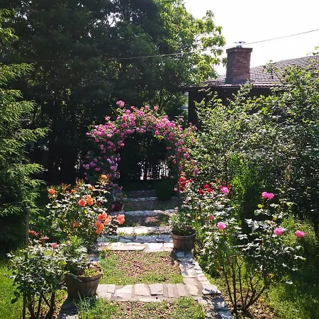 Alegria * Ieşelniţa